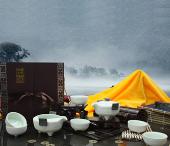 雪花卧龙八件套